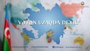 Azərbaycan diasporunun YENİ HƏDƏFLƏRİ