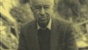 'Aylak Adam'da eksik olan