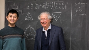 Dilin mekanizması ve matematik ilişkisi / ÜNAL ÇAMDALI