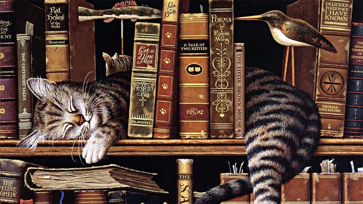 TANER AY: Edebiyatımızın kedi severleri ve kedicileri