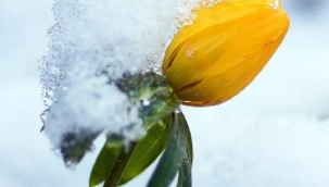 Hece Taşları Şiir Dergisi 84. Sayısı yayınlandı