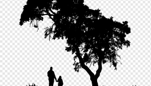 EKSİKTİ BİR YANIM