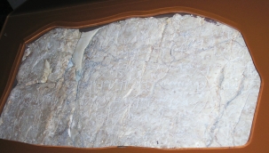 İsraile verileceği iddia edilen yazıt ne anlam ifade ediyor?