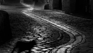 ELİF AKDOĞAN YAZDI: KAYBOLMUŞUM GİBİ 