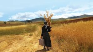 ELİF AKDOĞAN YAZDI: TESADÜF ET