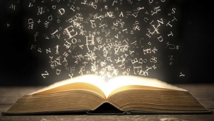 Emir ŞIKTAŞ Yazdı: KÜTÜPHANELER HAFTASI VE IĞDIRDA KÜTÜPHANECİLİK