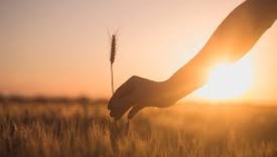 Zeynep Büşra ASAN Yazdı: NOKTASIZ CÜMLELER 