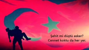 Emir ŞIKTAŞ YAZDI: CENNET KOKUSU