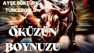 Öküzün boynuzu - Yazar: Ayşe Göktürk Tunceroğlu 