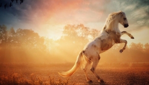 TÜRKLER NEVRUZ VE HIZIR