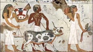 Açelya OĞUZ Yazdı:KURBAN RİTÜELİ