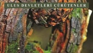 Neoliberal cehennemine hoş geldiniz!