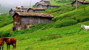 Sıcaktan kaçanlar için yaylalar yaylalar