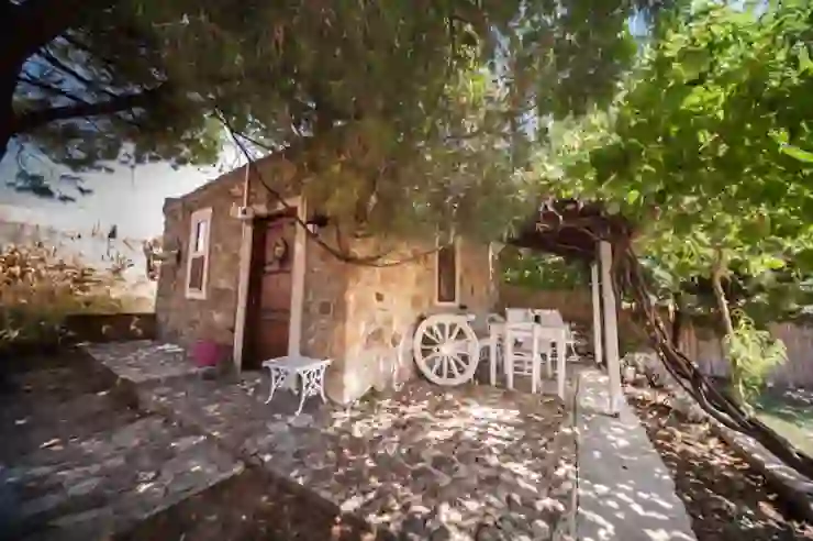 Mustafa ALTINSOY Yazdı: KÖYDE YAŞAM