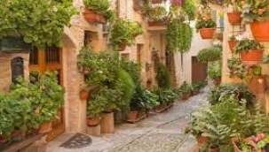 RÜYA ÇİFTÇİ YAZDI: ÇİÇEK BEZELİ SOKAK 