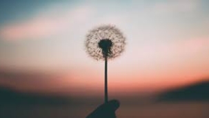 Elif AY yazdı: İhanete mektup