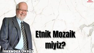 Prof. Dr. İskender Öksüz yazdı: Biz etnik mozaik miyiz?
