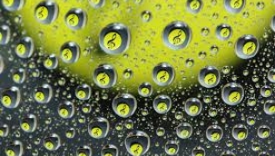 MERYEM SERT YAZDI : DAMLALAR