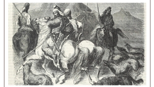 Türk Kültüründe At