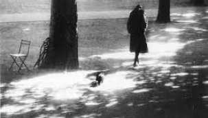 DİLANUR ZORLU YAZDI: GÖRÜNEN