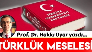 Türklük Meselesi