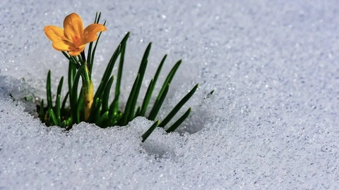 Emir ŞIKTAŞ YAZDI: DÜŞME!