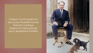 ESKİ FOTOĞRAFLARIN DİLİ