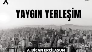 Yaygın Yerleşim