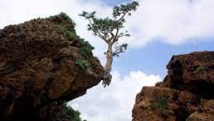  MERYEM SERT YAZDI: HAYATA TUTUNMAK