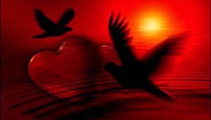 MERYEM SERT YAZD: SANDIM