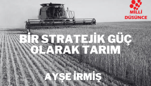 Bir stratejik güç olarak tarım
