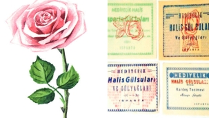 Güller devşirir eller