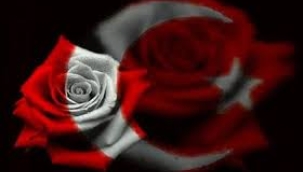 HAKAN ÖZŞANLI YAZDI: GÜL