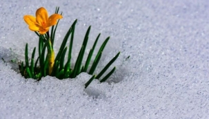 Geleneksel kültürümüzde Cemre