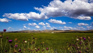 Anadolu'daki Köyümden Sohbetlerimiz-2: Yağmurun Bereketi ve Önemi