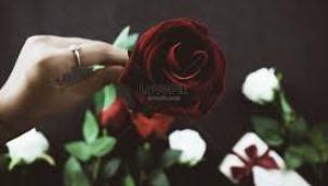 ARZU KUREYŞİ YAZDI: CEZA