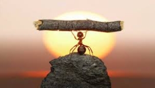 ARZU KUREYŞİ YAZDI: BAŞARMAK