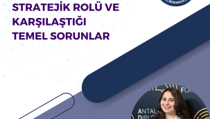 DOĞU TÜRKİSTAN'IN TÜRK DÜNYASINDAKİ STRATEJİK ROLÜ VE KARŞILAŞTIĞI TEMEL SORUNLAR