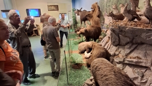 ALTAY, TUVA VE HAKASYA GEZİSİ (6) DAĞLIK ALTAY'DA (GORNO ALTAYSK) SON GÜN