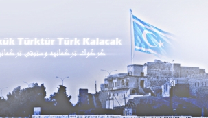 Kerkük Bağlamında Türklerin Bölgedeki Varlığı