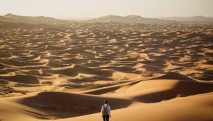 Farabi'nin "Erdemli İnsan" öğretisinde zeka ve mutluluk sorunu.