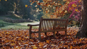 Eylül vurgunu kimlikler