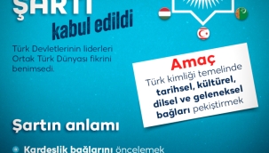 Türk Dünyası Şartı Kabul Edildi