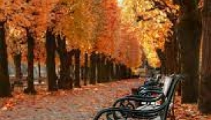 ARZU KUREYŞİ YAZDI: BİLİNMEZLİK