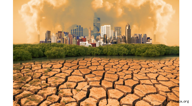 ÇEVRE, İKLİM DEĞİŞİKLİĞİ HAKKINDA 72 SORUYA, YAPAY ZEKA ; TARİHİSTAN İÇİN YANIT VERİYOR.