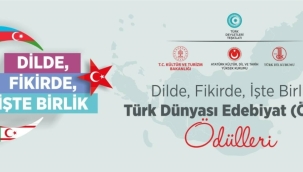 Dilde, Fikirde, İşte Birlik Türk Dünyası Edebiyat (Öykü) Ödülleri