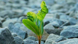HAKAN ÖZŞANLI YAZDI: 