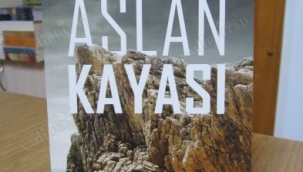 YAZAR ÖZTÜRK ALKOÇ'UN 2. KİTABI "ASLAN KAYASI" YAYINLANDI
