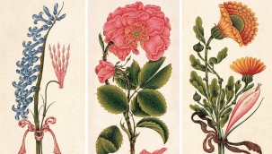 Bilimsel Bitki Ressamlığı Tarihi ve Önemi