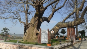 Geyikli Baba'nın İzinde: Babasultan Köyü